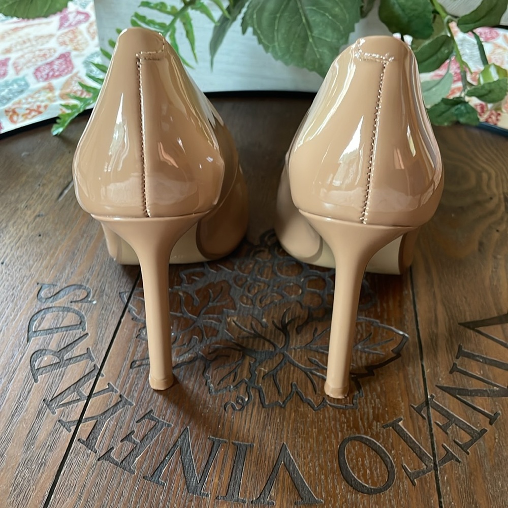 Express Pumps - Picture 2 of 4
